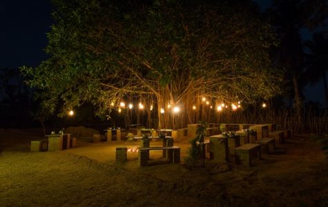 Jungle Theme Dinners (Groups)